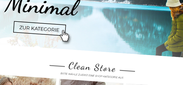 Cache leeren und Version pruefen