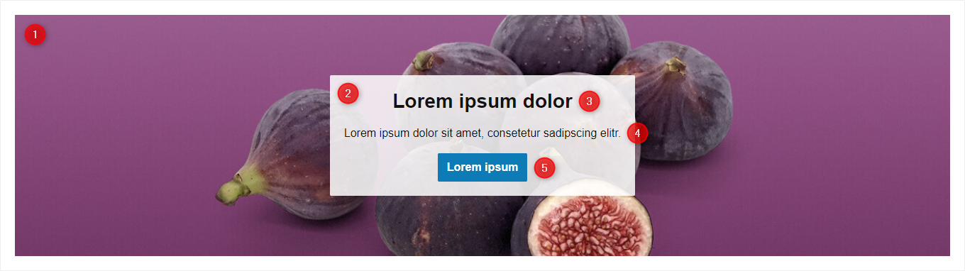 Elemente vom "Call-to-Action"
