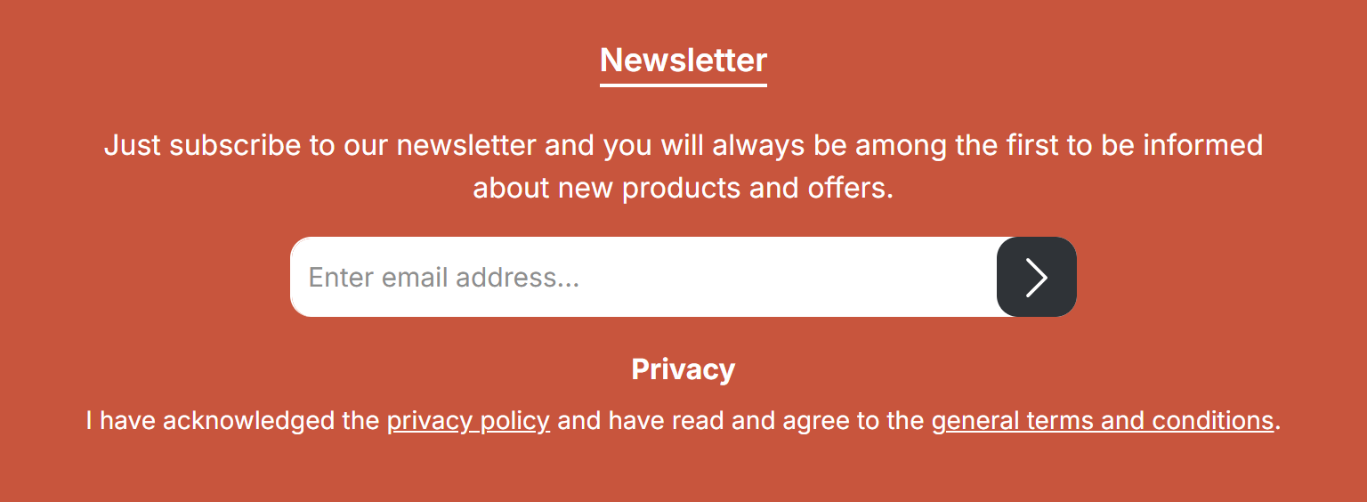 Newsletter widget in the footer with an integrated submit button