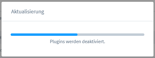 Shopware 6 aktualisieren / updaten, Abbildung 7