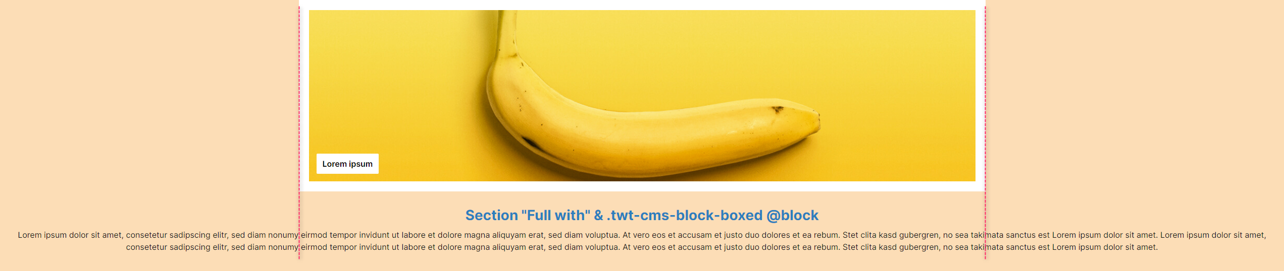 "Full with"-Sektion mit einem spezifischen, zentrierten CMS-Block