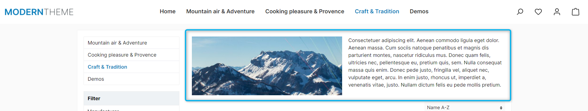 CMS element with category text and image