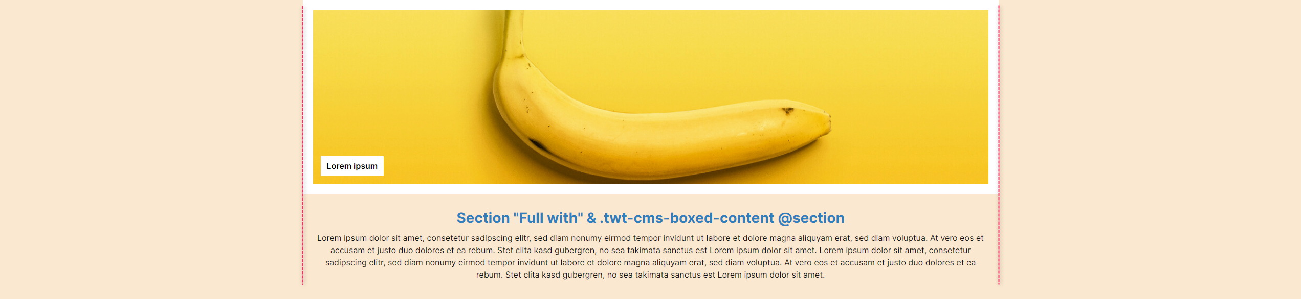 "Full with" section with centred CMS blocks
